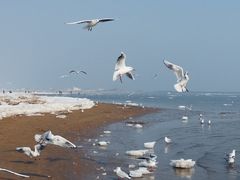 -老虎石海上公园