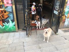 门面-萌喵咖啡屋(人民东路4号口M16商铺店)