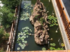 -大连步云山老汤度假山庄