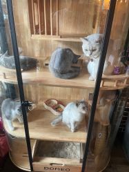 -青木造型HAIR·あおき髪を刈る潮人店