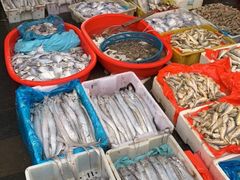 -芦潮港集贸市场