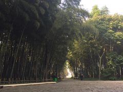 -同里国家湿地公园