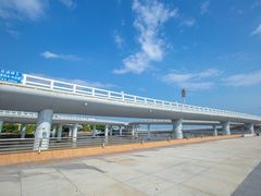 -演武大桥观景平台