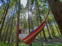 -黄海国家森林公园