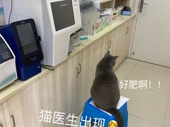 -瑞派康怡24h宠物医院·犬猫医疗中心·微创绝育(瑞景分院)