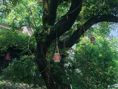 -南京市民俗博物馆(甘熙故居)