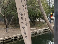 -春风习习