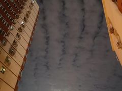 -玫瑰红烤羊排(北新桥三条店)