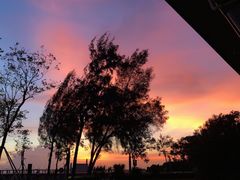 -宝安西湾红树林湿地公园