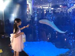 -成都浩海立方海洋公园