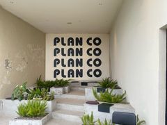 -PLAN CO
