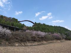 -铜川市金锁关石林