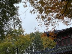 -灵谷景区