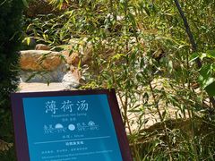-汤泊温泉度假村
