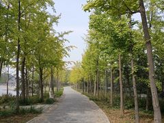 -石家庄市植物园