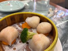-广东大排档(国奥店)