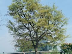 -龙美术馆(西岸馆)