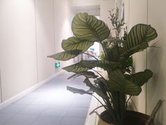 -北里·4k影院式足疗SPA馆(观音桥店)