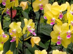 -兰陵国家农业公园