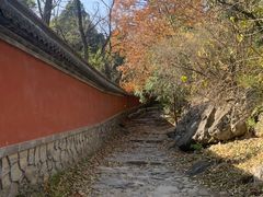 -阳台山自然风景区