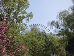 -万泉公园