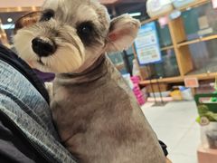 -FAELING PETS美天灵宠物(富力广场店)