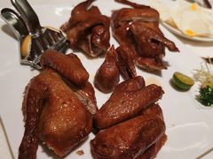 红烧乳鸽-金悦轩海鲜城(渔人码头店)