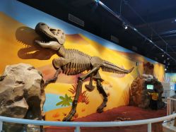 -北京科学中心儿童乐园