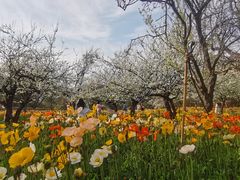 -名花谷生态庄园