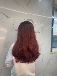 -潘多拉Hairsalon