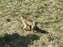 -大连森林动物园