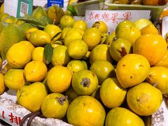 -南沙十九涌渔人码头-南门