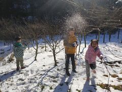 -四明山国家森林公园