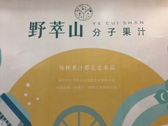 -野萃山·潮汕厚果汁(十亩地店)