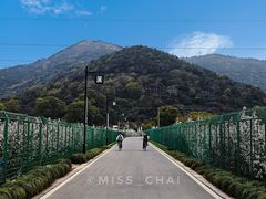 -树山生态村