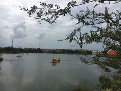 -上海长兴岛郊野公园