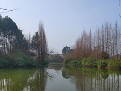 -桤木河湿地公园