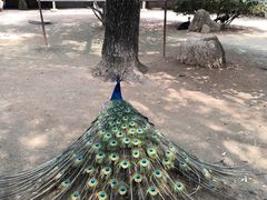 -祥源·阜阳生态乐园