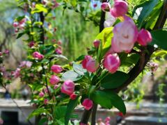 -元大都城垣遗址公园