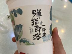 -茶颜悦色(五一里1号口店)