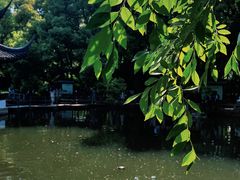 -西园戒幢律寺