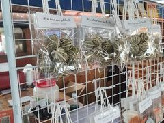 -蓝湾碧波·老字号·疍家非遗海上餐厅