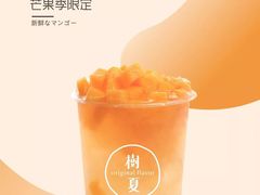 -树夏(鹭洲里店)