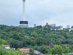 -黄鹤楼公园(黄鹤楼)