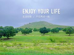 -五角枫生态旅游景区