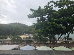 -南丫岛