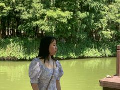 -乌镇东栅景区