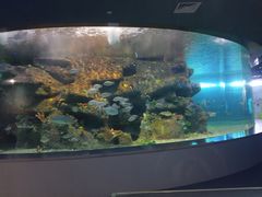 -沙沙哗啦海洋馆(华宇百花谷店)