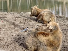 -溱湖国家湿地公园