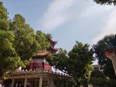 -广东圆玄道观